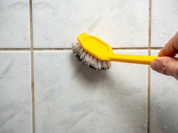 Best Residential Mold Remediation in Palo Cedro, CA