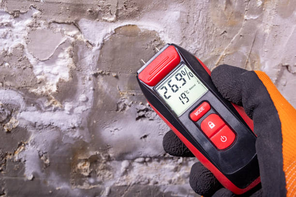 Best Health and Safety Mold Remediation in Palo Cedro, CA